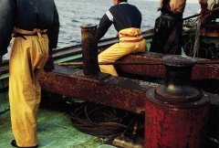 Concert: Phil Niblock (US) & Thomas Ankersmit (NL)